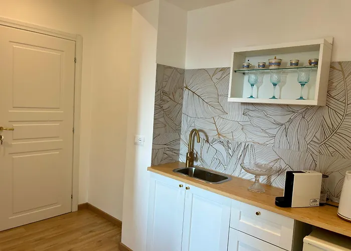 Living Flaminio - Parziale - Ad Uso Turistico Апартаменты Рим